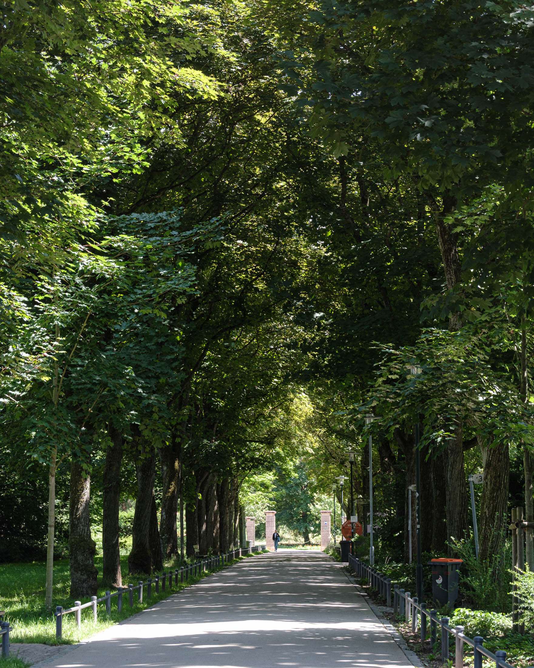 Under Trees