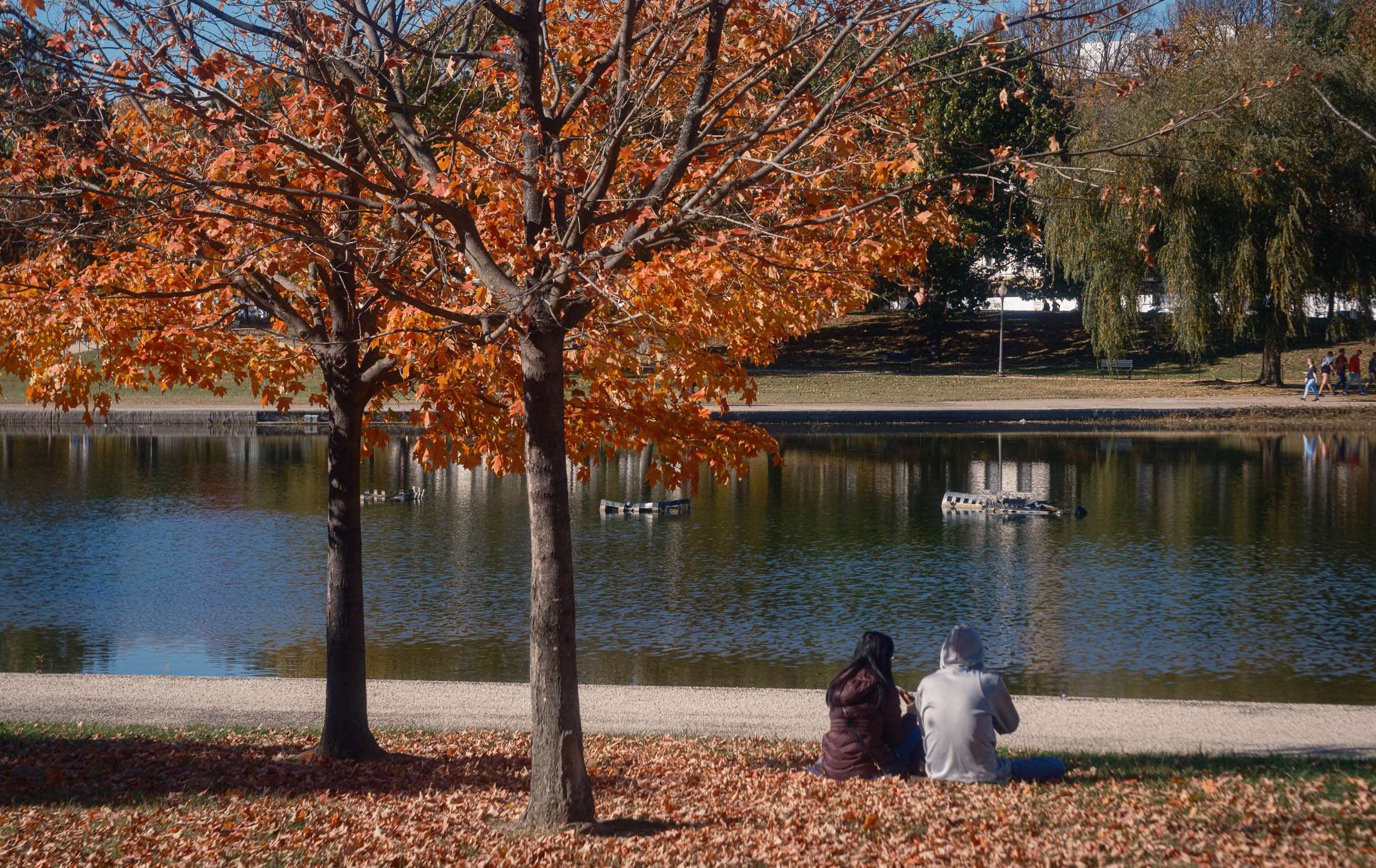 Constitution Gardens