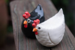 Week 39 - Chicken