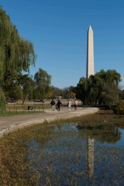 Fujifilm X-T5 | Fujinon 16-50mm f/2.8-4.8 R LM WR | 36.3mm (54mm) | 1/950 sec | f/7.1| ISO 125 Week 44 – Constitution Gardens with Washington Monument