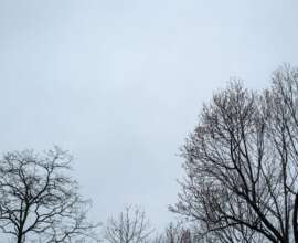 Fujifilm X-T5 | Fujinon XF 35mm f1.4 R | 35mm (53mm) | 1/100 sec | f/6.4 | ISO 125 Week 5 - Blue Blue Gray