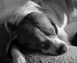Fujifilm X-T5 | Jupiter-3 f/1.5 50mm | 50mm (75mm) | 1/75 sec | f/4 | ISO 800 Week 10 - Black & White