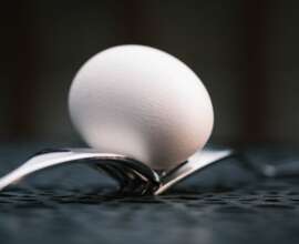Fujifilm X-T5 | Fujinon XF 60mm f2.4 R Macro | 60mm (90mm) | 1/200 sec | f/2.4 | ISO 125 Week 11 - Egg