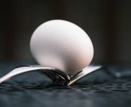 Week 11 - Egg