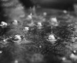 Fujifilm X-T5 | Voigtländer Nokton 50mm f1.2 | 50mm (75mm) | 1/35 sec | f/4 | ISO 12800 Week 20-Water - Rain drops during heavy rain