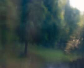 Fujifilm X-T5 | Voigtländer Nokton 50mm f1.2 | 50mm (75mm) | 1/210 sec | f/5 | ISO 125 Week 22: Through The Looking Glass!
