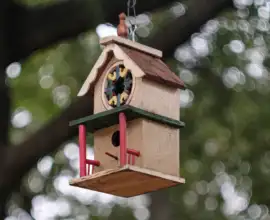 Fujifilm X-T5 | CZJ Biotar 58mm f2 (10 Blades) | 58mm (87mm) | 1/300 sec | f/2.8 | ISO 125 Week 39: Birdhouse Bokeh
