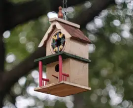 Week 39: Birdhouse Bokeh