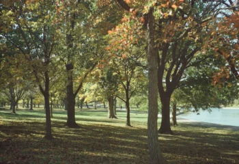 Zeiss Ikon - Cinestill 50D