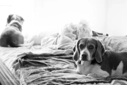 Week 5 - Sneaking into bed