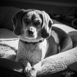 Week 7 - Betty