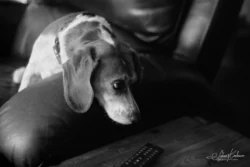 Week 33 - Betty on Film